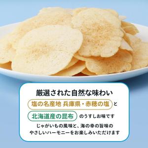 ノンフライポテトチップス テラフーズ カロリー...の詳細画像5