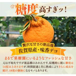 佐賀県産デコポン3kg 送料無料 [恵味香] ...の詳細画像2