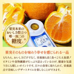 佐賀県産デコポン3kg 送料無料 [恵味香] ...の詳細画像5