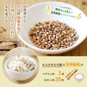 もち麦 らいむ工房 むらさきもち麦 500g ...の詳細画像2
