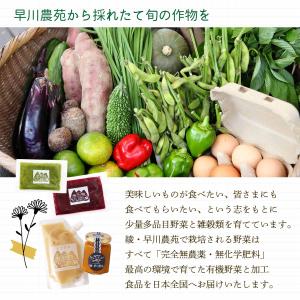 [シードカルチャー] あまざけ 綾・早川農苑 ...の詳細画像5