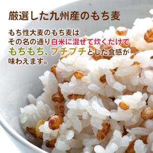 [山口油屋福太郎] もち麦 九州産 もち麦 2...の詳細画像1