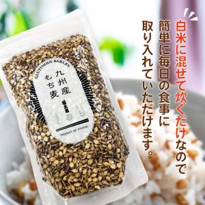 [山口油屋福太郎] もち麦 九州産 もち麦 2...の詳細画像2
