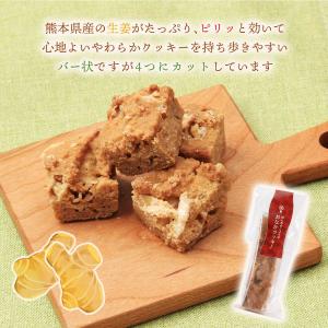 お菓子 [ジンジベル] ほんきのしょうがおなか...の詳細画像2