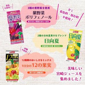 送料無料 [宮崎県農協果汁] みやざきの恵 ド...の詳細画像1