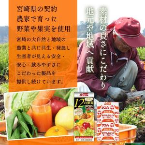 送料無料 [宮崎県農協果汁] みやざきの恵 ド...の詳細画像4