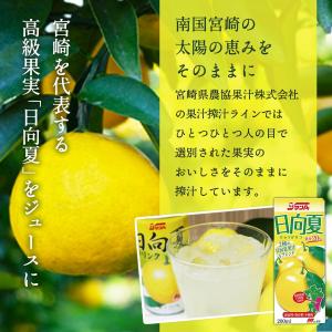 送料無料 [宮崎県農協果汁] みやざきの恵 ド...の詳細画像5