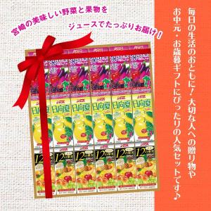 送料無料 [宮崎県農協果汁] みやざきの恵 ド...の詳細画像2
