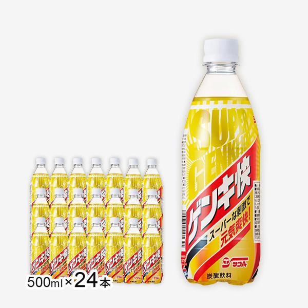 [宮崎県農協果汁(サンA)] ドリンク 【ケース販売】 スーパーゲンキ快 500ml×24本 /宮崎...