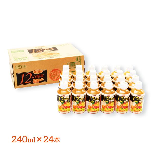 [宮崎県農協果汁(サンA)] フルーツジュース 【ケース販売】1日分の12の果実 果汁100% 24...
