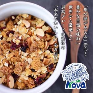 ドライフルーツ 送料無料 [NOVA] 有機シ...の詳細画像2