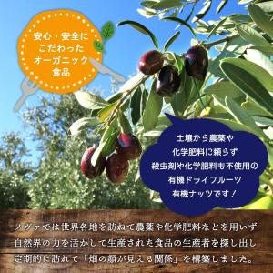 ドライフルーツ 送料無料 [NOVA] 有機シ...の詳細画像3