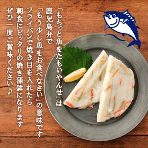 [中新商店] 魚肉練製品 もちっと魚をたもいや...の詳細画像3