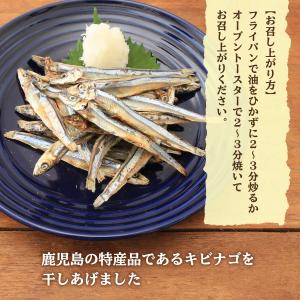 きびなご 下園薩男商店 鹿児島阿久根産 上質 ...の詳細画像3