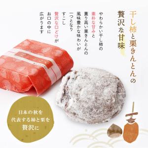 和菓子 送料無料 [國和産業] 柿こがね 1個...の詳細画像1