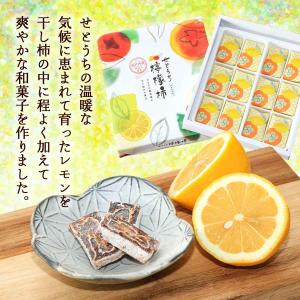 和菓子 國和産業 せとうち檸檬柿 12個入 /...の詳細画像1