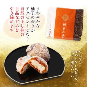 [國和産業] 柿菓子 柿あんあん 1個入 /柿...の詳細画像2