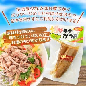 [浜吉ヤ] 焼き鰹 ソフトサラダかつお カット...の詳細画像2