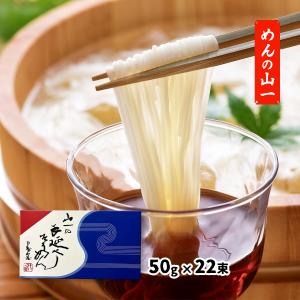 そうめん 須崎屋 島原手延そうめん 250g(50g×5束) /麺 素麺 手延べ