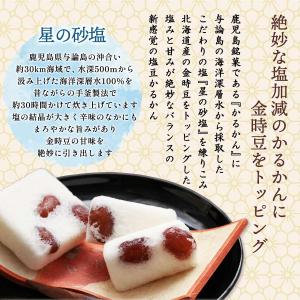 かるかん [九面屋] 薩摩銘菓 塩豆かるかん ...の詳細画像2