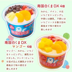 ギフト セイカ食品 南国白くまDX詰合せセット...の詳細画像2