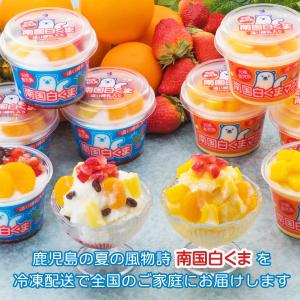 ギフト セイカ食品 南国白くまDX詰合せセット...の詳細画像3