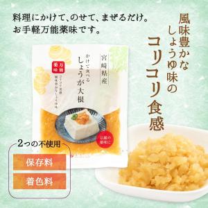 [道本食品] 漬物 かけて食べる しょうが大根...の詳細画像2