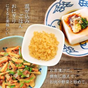 [道本食品] 漬物 かけて食べる しょうが大根...の詳細画像3