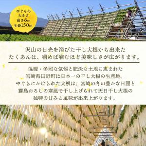 [道本食品] 漬物 かけて食べる しょうが大根...の詳細画像5