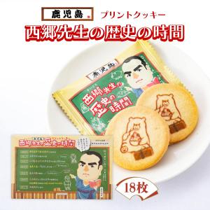 西郷先生の歴史の時間 18個/お菓子/クッキー/お土産/鹿児島/歴史