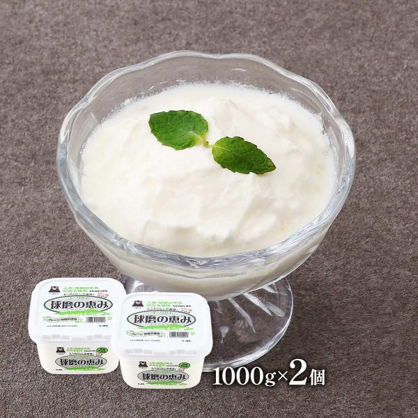 ヨーグルト 球磨酪農 球磨の恵みヨーグルト プレーン・砂糖不使用 1000g×2個個セット /ヨーグ...