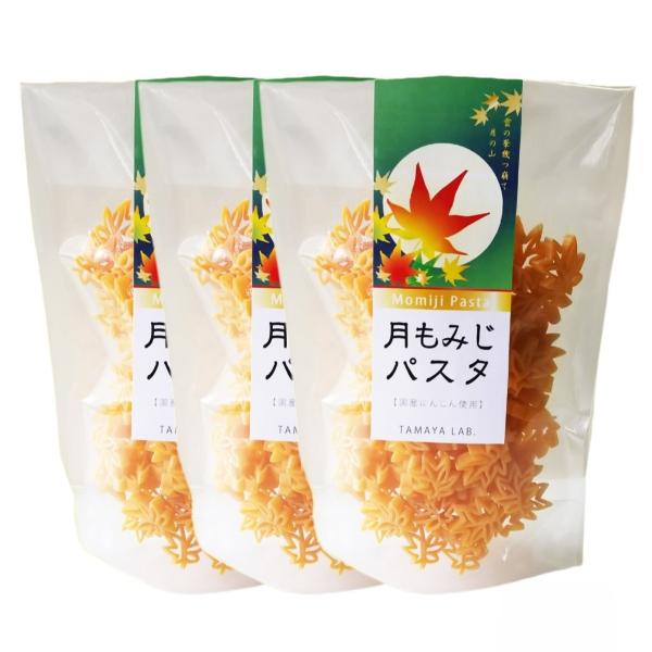 パスタ 玉谷製麺所 月もみじパスタ 100g×3袋セット /パスタ 国産 スパゲッティ スパゲティ ...