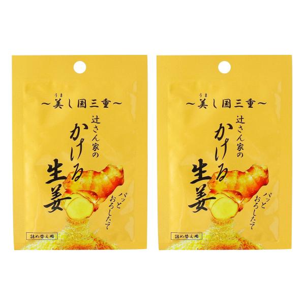 生姜 [辻製油] 辻さん家のかける生姜 詰め替え用 6.5g×2袋セット /調味料 新感覚調味料 簡...