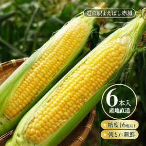 ヒルナンデス Nスタ で紹介 とうもろこし [道...の商品画像