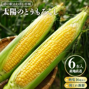 ヒルナンデス Nスタ で紹介 とうもろこし [...の詳細画像1