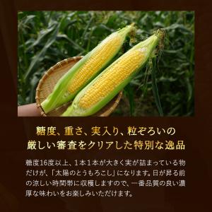ヒルナンデス Nスタ で紹介 とうもろこし [...の詳細画像4