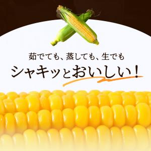 ヒルナンデス Nスタ で紹介 とうもろこし [...の詳細画像5