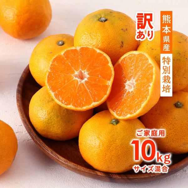 【出荷中】訳ありみかん 10kg [ファームオリンピア] 訳あり熊本県産特別栽培 温州みかん 10k...