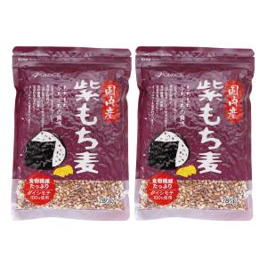 もち麦 ベストアメニティ 国内産 紫もち麦 280g×2袋セット /国産 九州 雑穀米 食物繊維 腸活 栄養バランス 美容 健康 健康習慣 ダイエット 保存食 常備