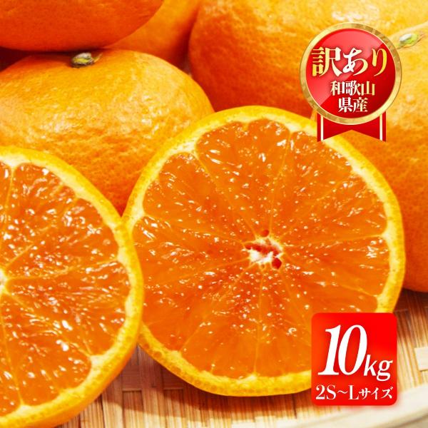 和歌山県産みかん 送料無料 [森本農園] 南津海 訳あり2S〜L 10kg【5月下旬頃〜順次発送】 ...