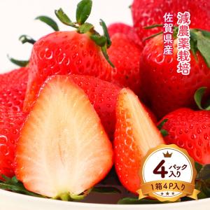 長野県産 シャインマスカット 秀品 7〜8房入 5kg : 生鮮卸売市場
