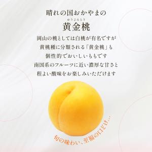 送料無料 岡山県産 黄金桃 3玉(300g×3...の詳細画像3