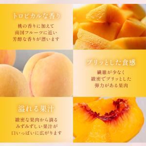 送料無料 岡山県産 黄金桃 3玉(300g×3...の詳細画像4