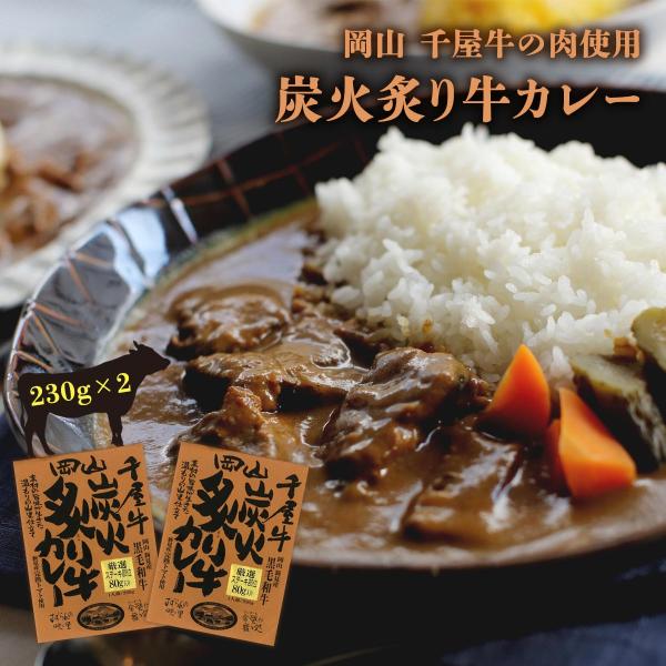 [哲多すずらん食品加工] 岡山 千屋牛炭火炙り牛カレー 230g×2 /岡山 新見 奥備中高原 哲多...