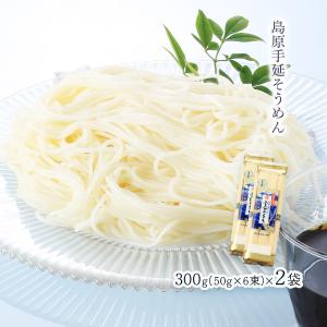 そうめん 須崎屋 謹製手延素麺 上村久人 250g(50g×5束) /麺 素麺 手