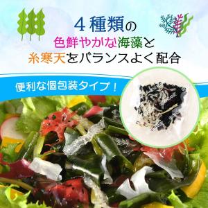 送料無料 [山忠] 乾物 海藻サラダ 15g(...の詳細画像2