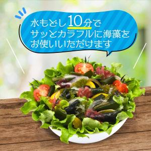 送料無料 [山忠] 乾物 海藻サラダ 15g(...の詳細画像3