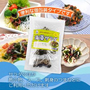 送料無料 [山忠] 乾物 海藻サラダ 15g(...の詳細画像4