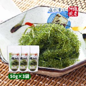 【沖縄県産】生海ぶどう 茎なしたっぷり2kg ☆タレ20p付き＋ボトルタレ2本 楽天市場】茎付き海ぶどう500g 酒の肴 専用タレ付き 沖縄土産 沖縄料理