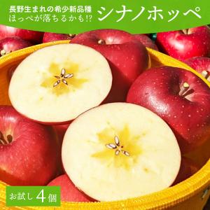 リンゴ 長野県産りんご シナノホッペ お試し4個 /林檎 希少種 レア しなのほっぺ  葉とらず お取り寄せフルーツ